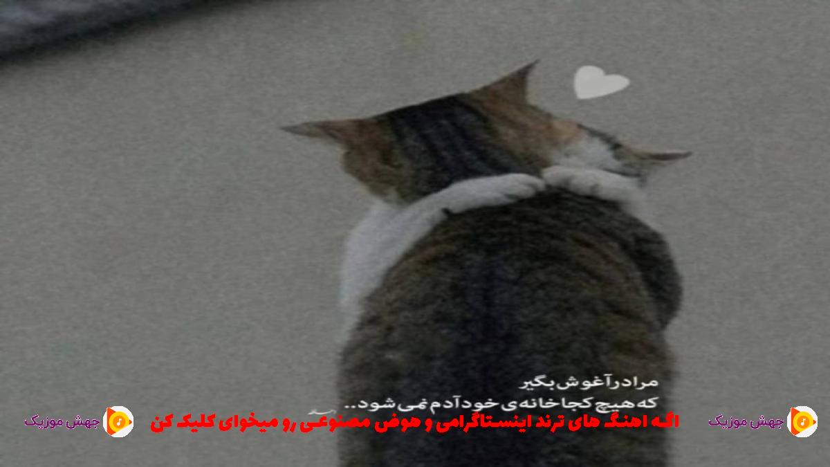 دانلود آهنگ اگر خانه رو پر از گل رز کنم کوچه را چراغانی از امید نصری